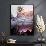 Between Earth and Sky: The Spirit of the Joshua Tree